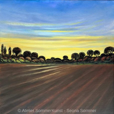 Landschaft mit einer weiten, bearbeiteten Fläche unter einem bunten Abendhimmel.